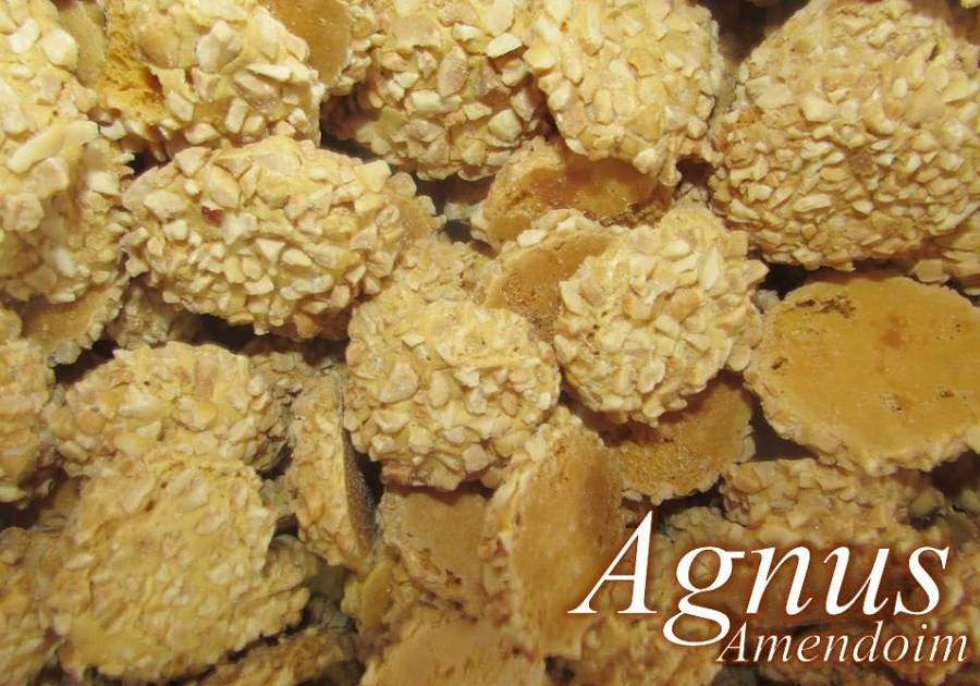 Biscoito Agnus 100g